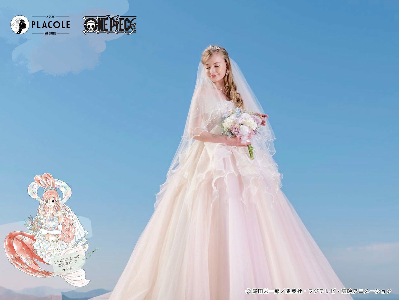 取扱い店案内】ワンピースコラボドレス しらほしモデル | DRESSY