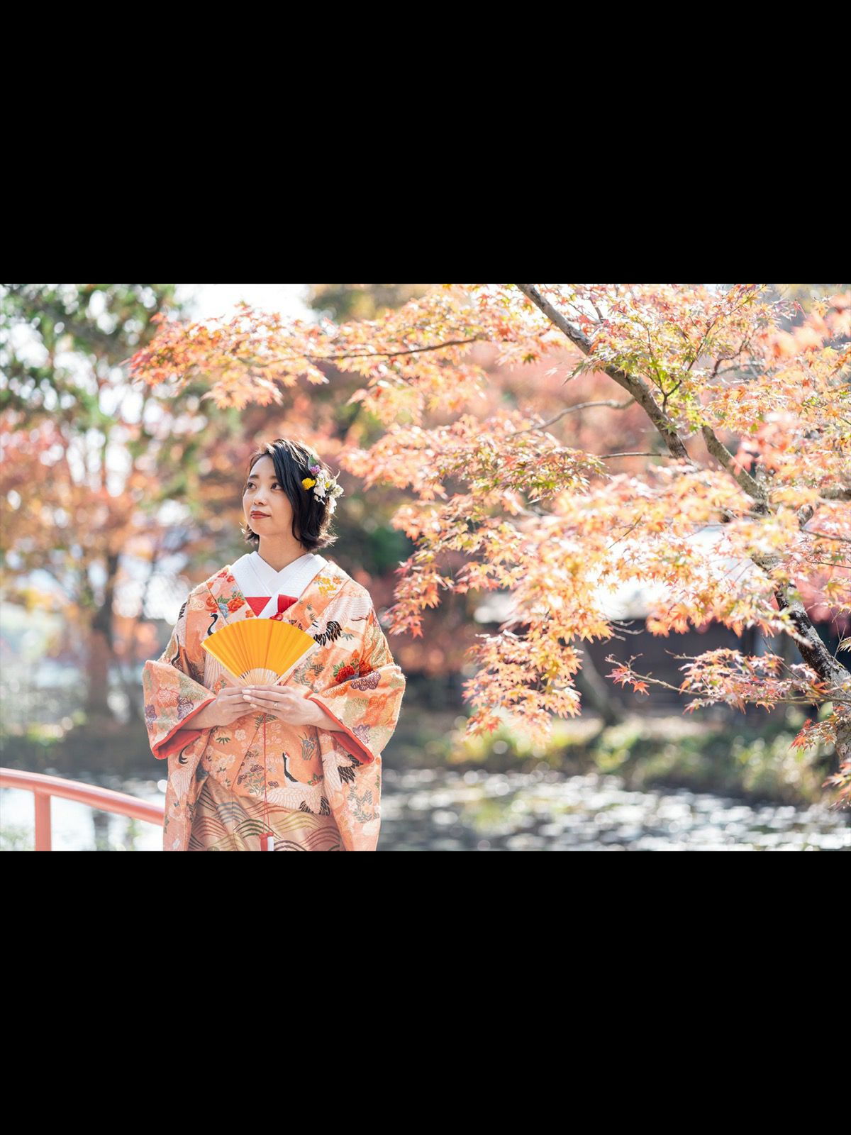 フォトグラファー 櫻井 一平 | DRESSY ONLINE[ドレッシーオンライン