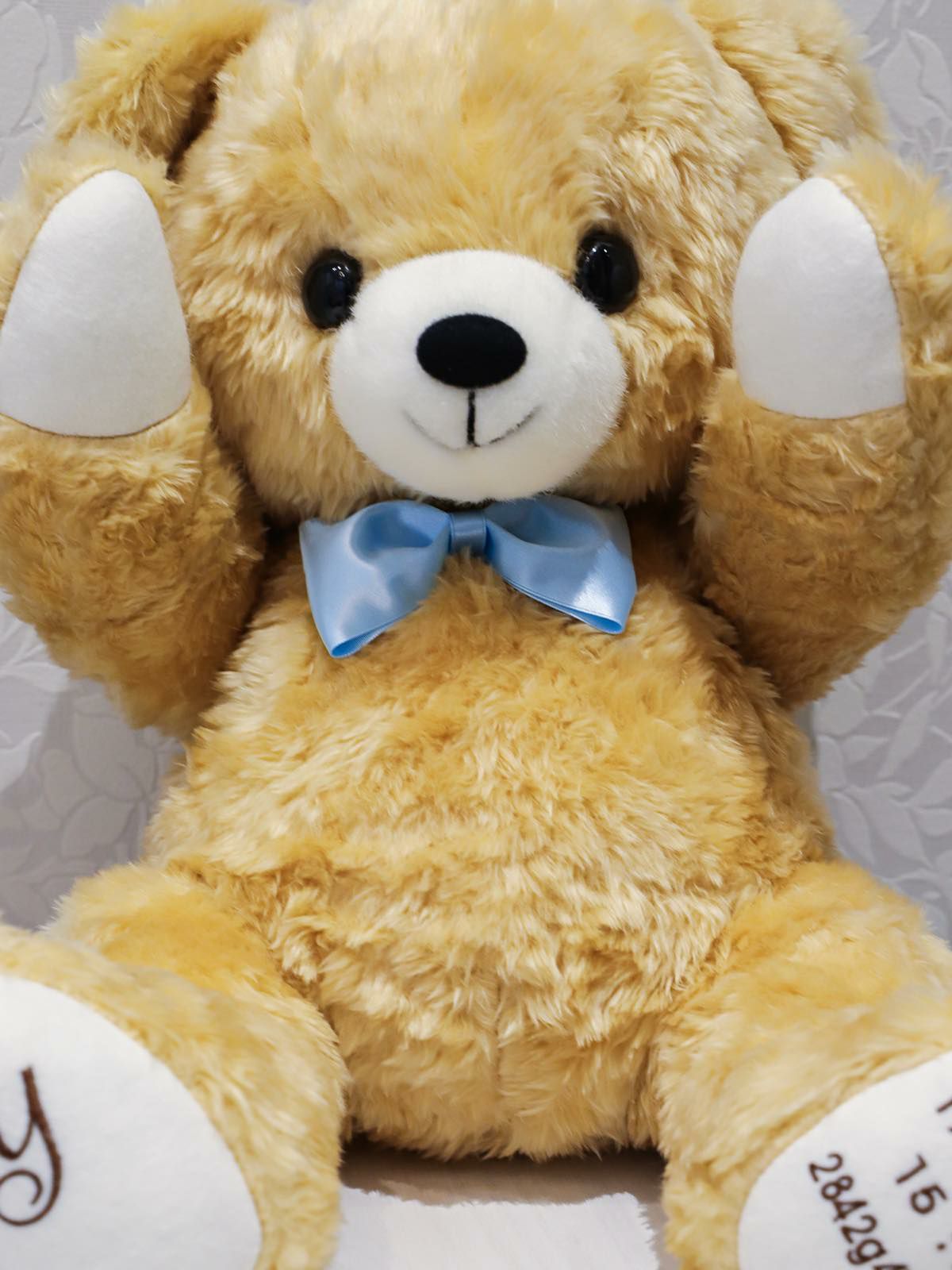Rodyノベルティ テディベア 2体セット ＃C 2329