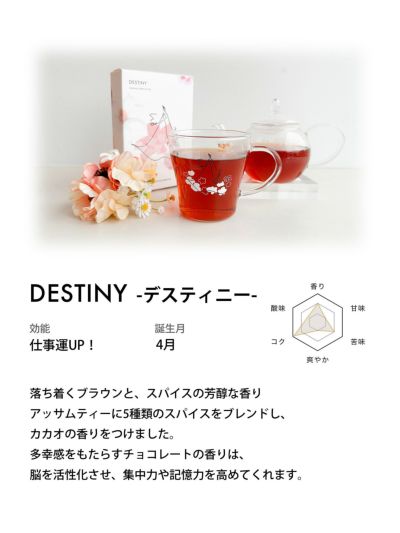 DRESSY CAFE | DRESSY ONLINE by PLACOLE&DRESSY